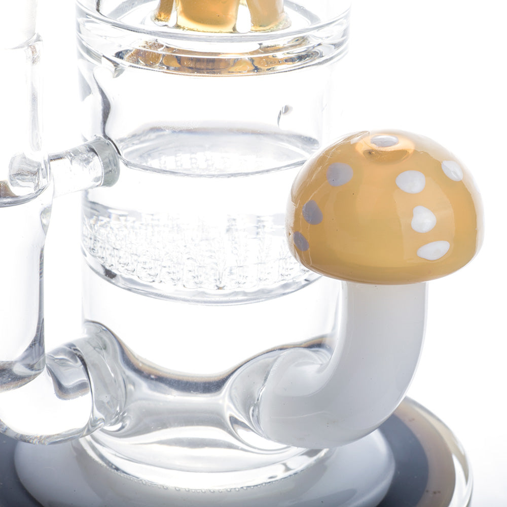 Heady Mushroom Honeycomb Dab Rig | Wax Rigs For Sale | Free NZ Shipping