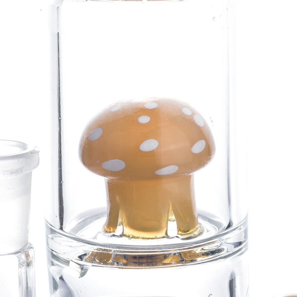 Heady Mushroom Honeycomb Dab Rig | Wax Rigs For Sale | Free NZ Shipping