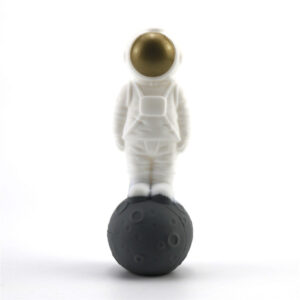 Silicone Honey Straw Astronauts Landing Moon Design