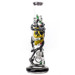 12 Skull Pattern Novelty Glass Beaker Bong For Sale  Free NZ Shipping