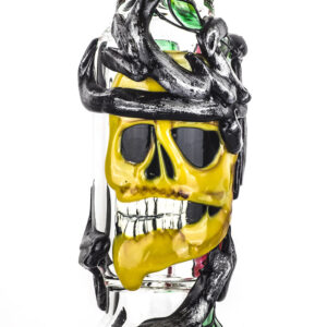 12 Skull Pattern Novelty Glass Beaker Bong For Sale  Free NZ Shipping