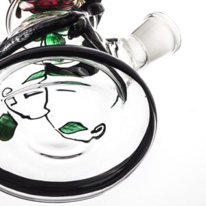 12 Skull Pattern Novelty Glass Beaker Bong For Sale  Free NZ Shipping