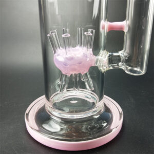 13" Straight Sprinkler Perc Glass Bong/Bongs For Sale | Free NZ Shipping