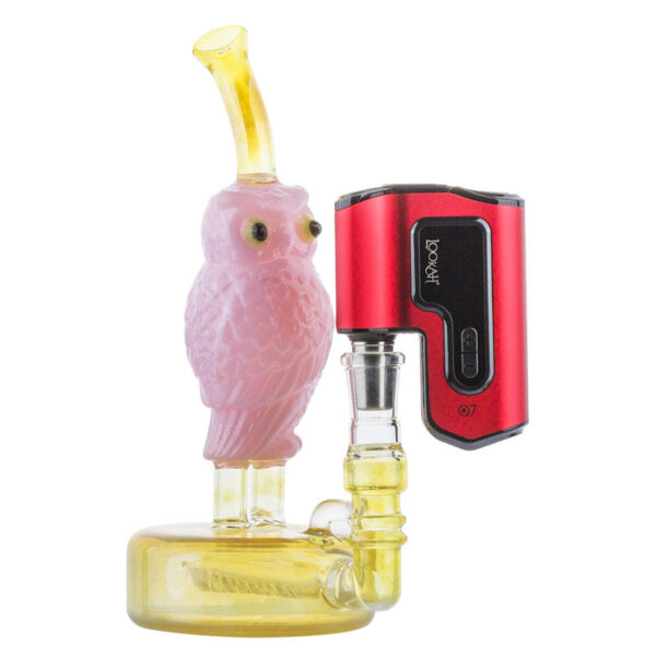 8" Pink Owl Theme Glass Bong w/ Lookah Q7 Electric Dab Nail | For Sale