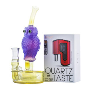 8" Purple Owl Theme Glass Bong w/ Lookah Q7 Electric Dab Nail | Sale