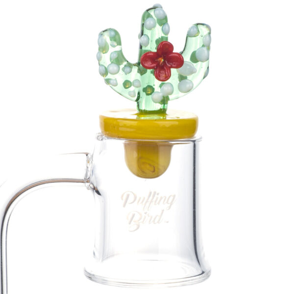 Cactus Themed Carb Cap for sale - 420 gifts - Puffing Bird - Online Headshop
