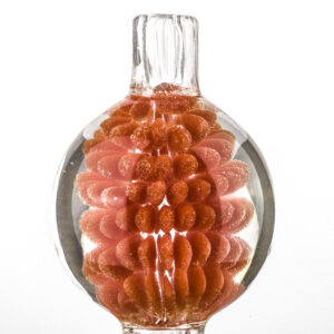 Carb Cap | Color Ball Carb Cap | Free NZ Shipping