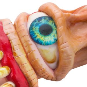Cyclops Big Mouth Glass Pipe | Novelty Pipes For Sale | Free NZ Shipping