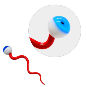 Eyeball Novelty Glass Dabber | For Quartz Bangers