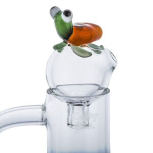 Frog Themed Novelty Mini Carb Cap | Dab Tools For Sale | Free NZ Shipping