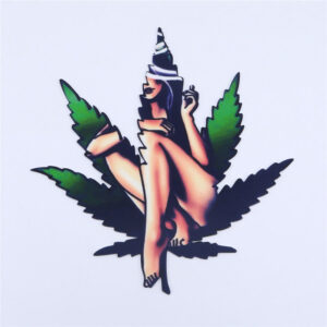 Marijuana Silicone Dab Mat | Dab Tools For Sale | Free NZ Shipping