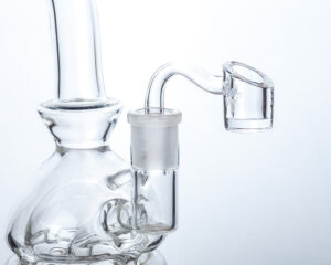 Puffing Bird Curved Neck Quartz Banger/nail