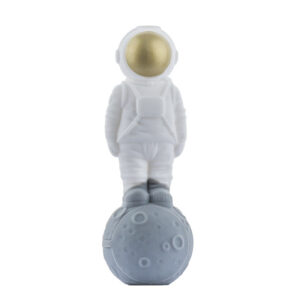 Silicone Honey Straw Astronauts Landing Moon Design | Free NZ Shipping