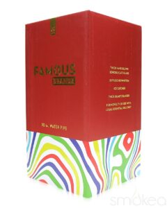 Famous Designs "Amnesia" Dab Rig | Cheap Dab Rigs Under $100 | Wax Rig