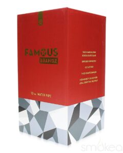 Famous Designs "Digital" Dab Rig | Cheap Dab Rigs | Dabbers Bongs