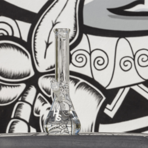 Higher Standards Heavy Duty Beaker Bong | Water Pipes For Sale | Bomgs