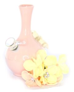 My Bud Vase Rachel Bong | Funny Bongs | Water Pipes For Sale | Bomgs
