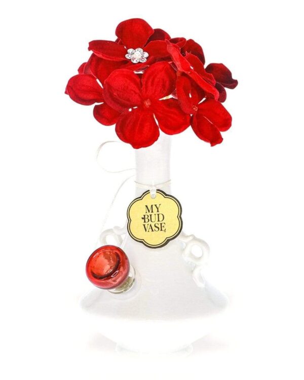 My Bud Vase Valerie Bong | Glass Bongs | Unique Bongs For Sale | Bomgs