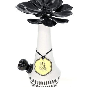 My Bud Vase Zuzu Bong | Water Pipes For Sale | Glass Bongs | Dry Herbs