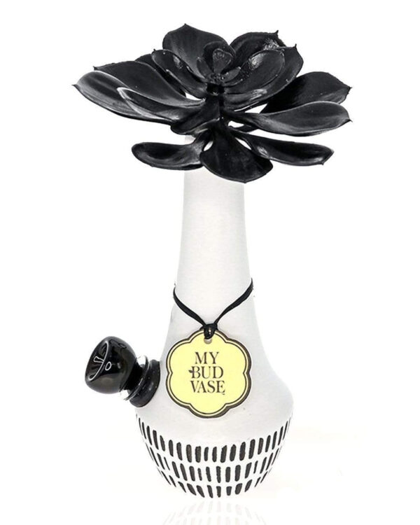 My Bud Vase Zuzu Bong | Water Pipes For Sale | Glass Bongs | Dry Herbs