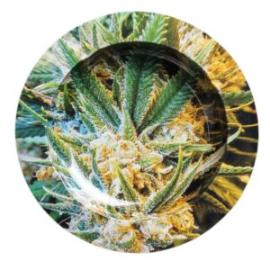 2in1 Creative Tobacco Ashtray Rolling Tray For Sale | Free NZ Shipping